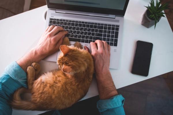 Невыгодная дистанционка. Минфин и ФНС усложнят жизнь «удаленным» сотрудникам Невыгодная дистанционка. Минфин и ФНС усложнят жизнь «удаленным» сотрудникам