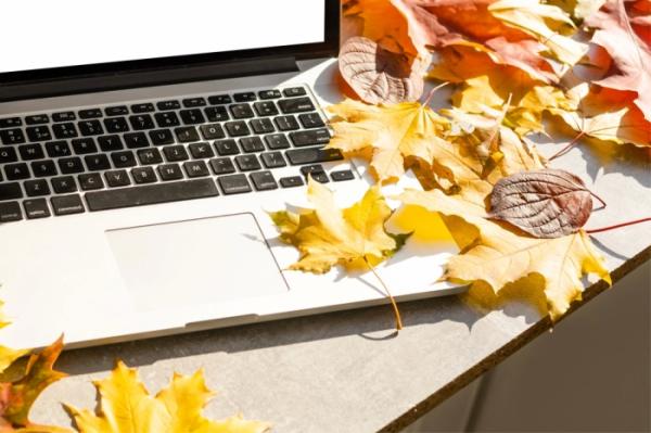 Итоги форума «ИТ-Диалог – 2022», российские ретейлеры закрывают бренд-зоны Apple, число закрытых ИП превысило число открытых Итоги форума «ИТ-Диалог – 2022», российские ретейлеры закрывают бренд-зоны Apple, число закрытых ИП превысило число открытых