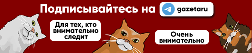 Сенсорный экран, миллион долларов и два покушения: как в СССР создавали первые в мире ПК  Сенсорный экран, миллион долларов и два покушения: как в СССР создавали первые в мире ПК