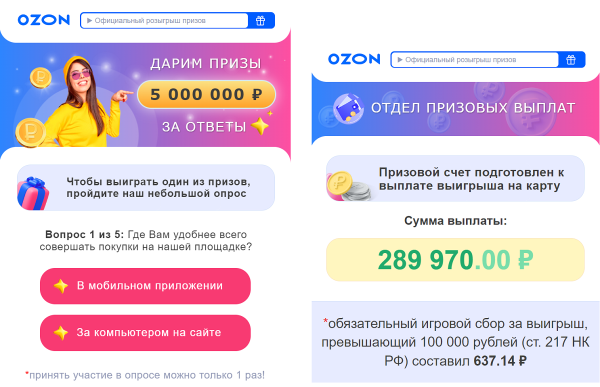 Ozon и F.A.C.C.T. назвали основные мошеннические схемы при онлайн-покупках Ozon и F.A.C.C.T. назвали основные мошеннические схемы при онлайн-покупках