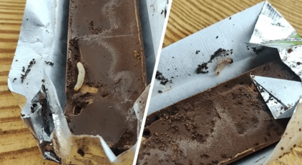 Белорус нашел живых червей в шоколаде «Коммунарка»
Белорус нашел живых червей в шоколаде «Коммунарка»