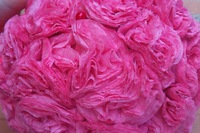 Фото с Fly IQ4503 ERA Life 6